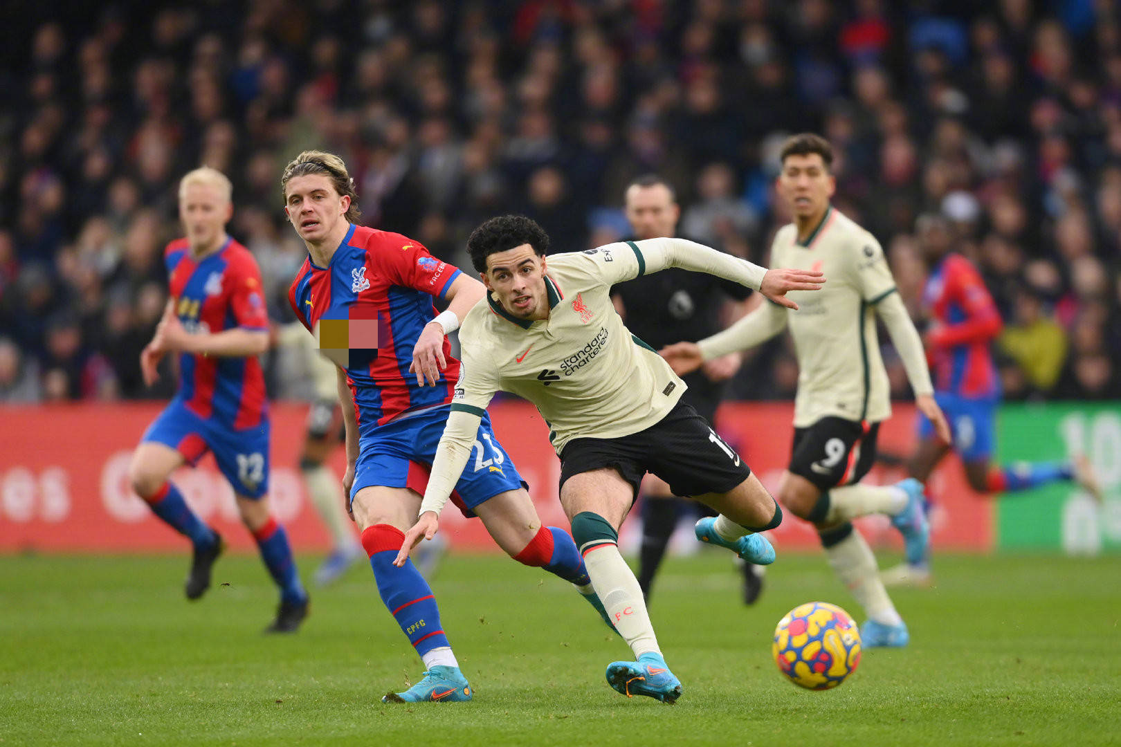 逆龄良方 逆龄良方